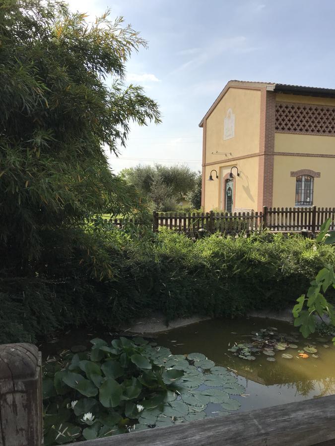 Hôtel Agriturismo Corte Salandini à Ponti sul Mincio Extérieur photo
